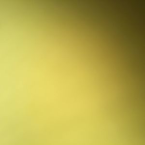 Meet your Posher, Treyvion